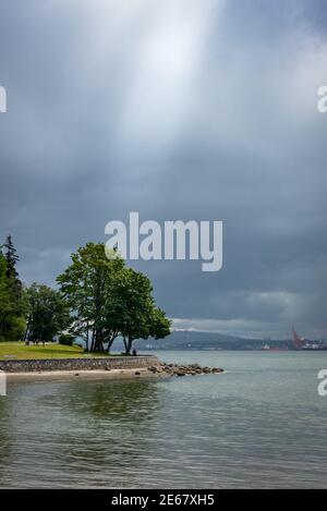 Totems dans le parc Stanley de Vancouver, Colombie-Britannique, Canada Banque D'Images