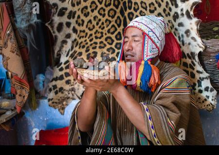 Huasao, Pérou - 17 août 2011 : le prêtre andin 'Chaman', exécute une cérémonie sacrée 'espacho' pour guérir les graves problèmes familiaux du client Banque D'Images