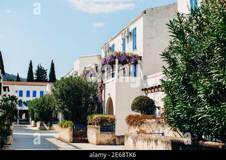 Le bâtiment est blanc avec des arbres dans la cour et des fleurs de wisteria sur l'arche. Banque D'Images