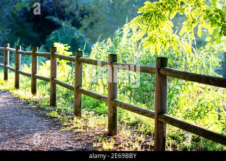 Clôture en bois, route de campagne. Arbres verts dans le parc avec chemin. Banque D'Images