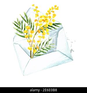 Enveloppe avec fleurs de printemps jaune Mimosa. Illustration aquarelle dessinée à la main, isolée sur fond blanc Banque D'Images