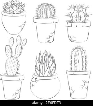 Collection de cactus vectoriels dans le pot de fleurs. Objets isolés. Illustration de Vecteur