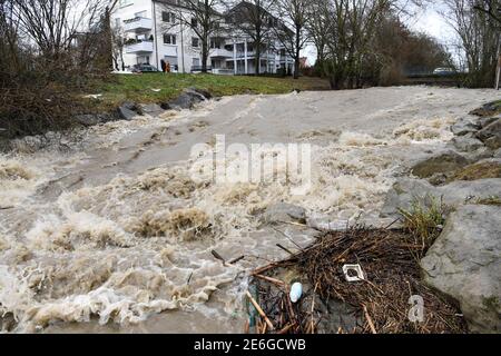 Friedrichshafen, Allemagne. 29 janvier 2021. La rivière Rotach déborde de ses berges peu de temps avant qu'elle ne s'écoule dans le lac de Constance. Credit: Felix Kästle/dpa/Alay Live News Banque D'Images