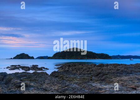 La vue de Paihia dans la baie des îles, en Nouvelle-Zélande, au crépuscule. La grande île de l'océan est Motumaire Banque D'Images