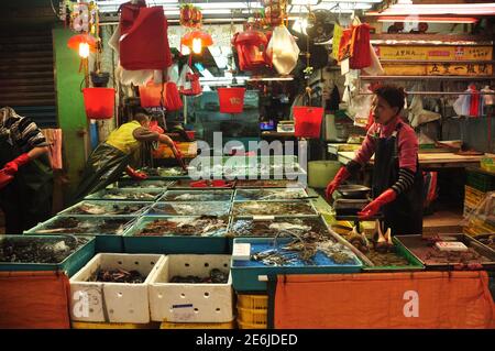 HONG KONG - 22 FÉVRIER 2015:vue des travailleurs triant les prises fraîches de fruits de mer dans différents conteneurs à l'extérieur de la cabine. Les gens trient les fruits de mer au St Banque D'Images