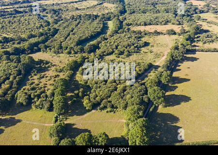 Knepp Estate, Sussex, projet de remilage, image aérienne montre bois de chêne, broussailles et pâturages, été Banque D'Images