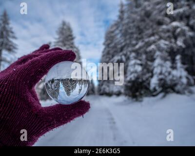 Boule de cristal dans une forêt d'hiver à Vogtland Banque D'Images