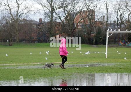 Londres, Royaume-Uni. 29 janvier 2021. Forte pluie sur Wandsworth Common. Credit: JOHNNY ARMSTEAD/Alamy Live News Banque D'Images