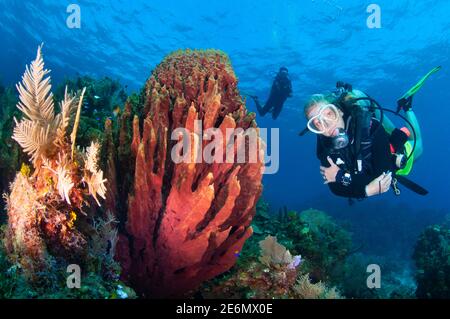 Femelle plongée sous-marine regardant la caméra et posant juste à côté d'une éponge géante rouge (Xestopongia muta). Roatan, Islas de la Bahia, Honduras Banque D'Images