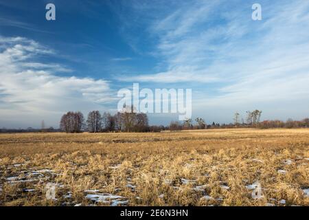 Prairie jaune sèche, neige résiduelle et nuages blancs contre le ciel bleu Banque D'Images