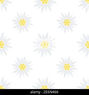 Motif fleuri Edelweiss sans coutures. Illustration de texture de fleurs vectorielles isolée sur blanc Illustration de Vecteur