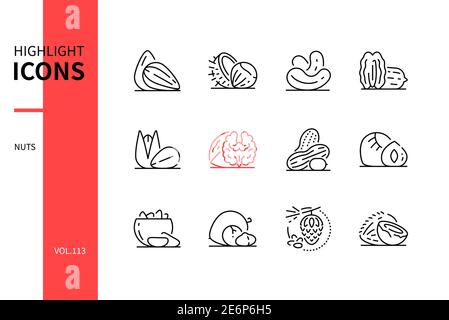 NUTS - jeu d'icônes de style moderne. Des images de haute qualité d'aliments sains biologiques frais. Amande, châtaigne, noix de cajou, pacane, pistache, noyer, péan Illustration de Vecteur