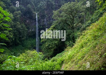 La cascade de Watu Ondo est une destination touristique dans l'est de Java. Haute chute d'eau entre falaises et nature sauvage. Le tourisme de forêt tropicale dans les hautes terres de moi Banque D'Images