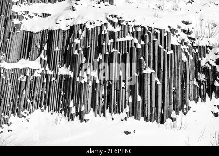 Vue détigée de la formation de roches de colonnes pentagonales et hexagonales de basalte. Ressemble à des tuyaux d'orgue géants. Couvert de neige et de glace en hiver. Panska skala, Kamenicky Senov, République tchèque. Image en noir et blanc. Banque D'Images