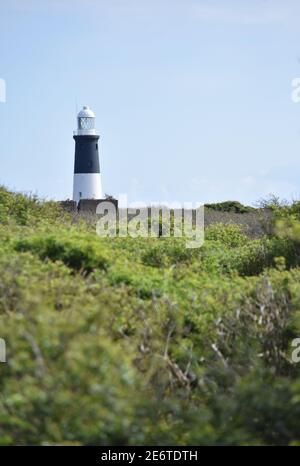 Le phare de la jailne le jour ensoleillé du printemps Banque D'Images