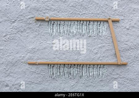 Illustration du séchage du poisson sur un mur dans la vieille ville de Stavanger, Norvège Banque D'Images