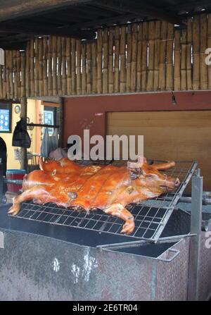 Plat typique de l'Equateur, porc sur une broche Banque D'Images