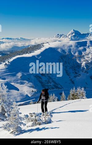 France, haute Savoie Beaufortain, Val d'Arly, pays du Mont blanc, ski de randonnée en Crète, randonnée dans les pentes et le massif des Aravis Banque D'Images