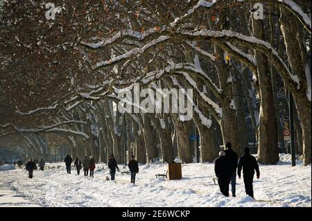 France, haute Savoie, Annecy, au bord du lac, la promenade le long de l'esplanade du Paquier sous la neige et les branches des platanes de l'avenue d'Albigny Banque D'Images