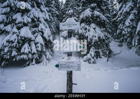 Paysage de neige de montagne Tatras avec panneaux touristiques et indicateurs de direction. Neige d'hiver magique sur le sol. Le sol hivernal est gelé Banque D'Images