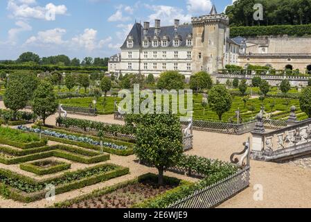 France, Indre et Loire, Villandry, Vallée de la Loire classée au patrimoine mondial de l'UNESCO, Châteaux de la Loire, jardins et château de Villandry, jardin potager décoratif Banque D'Images