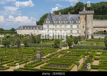 France, Indre et Loire, Villandry, Vallée de la Loire classée au patrimoine mondial de l'UNESCO, Châteaux de la Loire, jardins et château de Villandry, jardin potager décoratif Banque D'Images