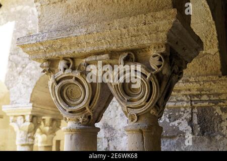 France, Bouches du Rhône, Parc naturel régional des Alpilles, Saint Rémy de Provence, Monastère Saint Paul de Mausole où Van Gogh vécut en 1889-1890, le cloître Banque D'Images
