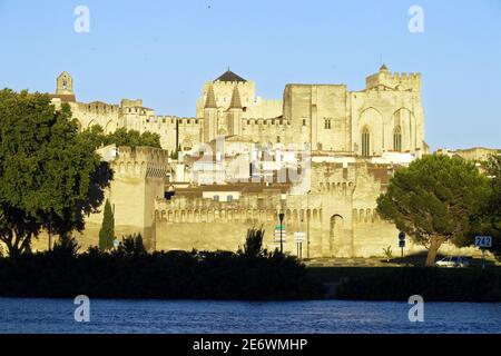 France, Vaucluse, Avignon, le Rhône avec le mur de la ville, les remparts avec le Palais Papal du XIVe siècle, classé au patrimoine mondial de l'UNESCO Banque D'Images
