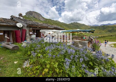 France, Savoie, massif de la Beaufortain, randonnée sur la Tour du Beaufortain, site alpin du Plan Mya Banque D'Images