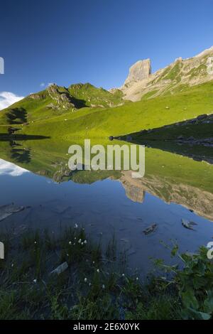 France, Savoie, massif de Beaufortain, Lac d'Amour (2250m) et Pierra Menta Banque D'Images