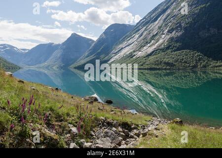 Lac Jolstravatnet près du parc national de Jostedalsbreen en Norvège Banque D'Images