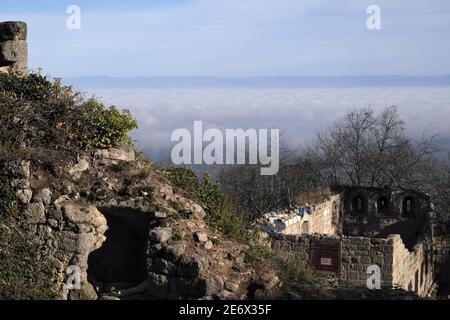 France, Bas Rhin, Dambach la ville, château Bernstein du XIIe siècle, château inférieur, vue sur la plaine d'Alsace dans le brouillard, la Forêt Noire en Allemagne Banque D'Images