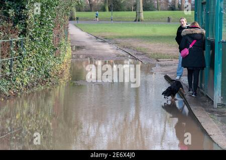 Londres, Royaume-Uni. 29 janvier 2021. Inondation à Battersea Park à Londres après une nuit de forte pluie. Photo: Roger Garfield/Alay Live News Banque D'Images