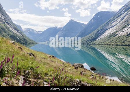 Lac Jolstravatnet près du parc national de Jostedalsbreen en Norvège Banque D'Images