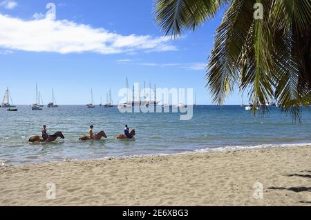 Caraïbes, Dominique Island, Portsmouth, Prince Rupert Bay, équitation sur la plage avec un passage dans la mer des Caraïbes Banque D'Images