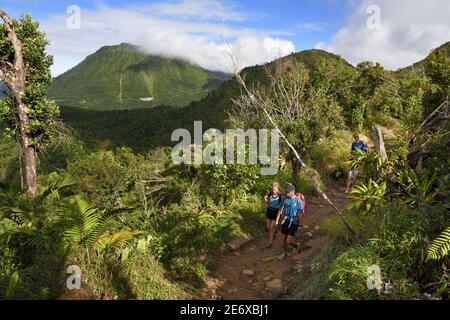 Caraïbes, Dominique Island, Château Bruce, Morne trois Pitons Parc national classé au patrimoine mondial de l'UNESCO, randonneurs sur le sentier menant à travers la forêt tropicale jusqu'à la vallée de la Désolation, puis jusqu'au lac de Boiling Banque D'Images