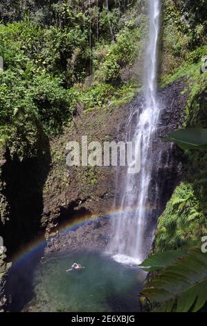 Caraïbes, Dominique Island, Morne trois Pitons National Park classé au patrimoine mondial par l'UNESCO, randonneur aux chutes Middleham sur le sentier de randonnée de Waitukubuli qui traverse l'île Banque D'Images