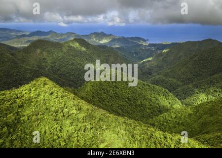 Les Caraïbes, l'île de la Dominique, le parc national Morne trois Pitons classé au patrimoine mondial par l'UNESCO, la forêt tropicale au pied de Morne trois Piton et la côte est en arrière-plan (vue aérienne) Banque D'Images