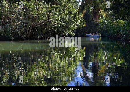 Caraïbes, Ile de la Dominique, Portsmouth, touristes découvrant les rives de la rivière indienne en bateau Banque D'Images