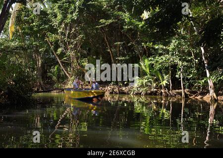 Caraïbes, Ile de la Dominique, Portsmouth, touristes découvrant les rives de la rivière indienne en bateau Banque D'Images