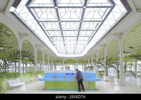 France, Allier, Vichy, Hall des sources Construit entre 1898 et 1902 par l'architecte Charles le coeur avec modification du toit en verre en 1928 par Charles Letrosne, pavillon abritant toutes les sources thermales actives de la ville, source Chomel Banque D'Images