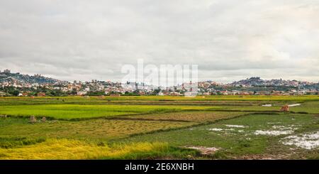 Paysage typique de Madagascar par jour couvert nuageux - personnes travaillant dans des champs de riz humides en premier plan, maisons sur de petites collines de la banlieue d'Antananarivo Banque D'Images