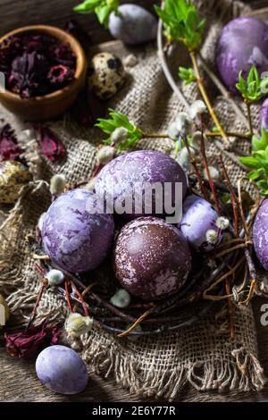 Jaune d'œuf de Pâques violet. Les œufs faits maison sont peints avec un colorant naturel provenant de fleurs d'hibiscus séchées sur une table rustique. Banque D'Images