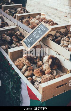 Champignons sauvages au marché fermier français du pays Basque. Banque D'Images