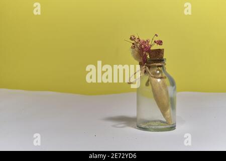 Un morceau de papier peint à l'intérieur de la gousse de verre et de la prise de bois sur fond blanc et jaune. Correspondance de style ancien et ancien. Banque D'Images