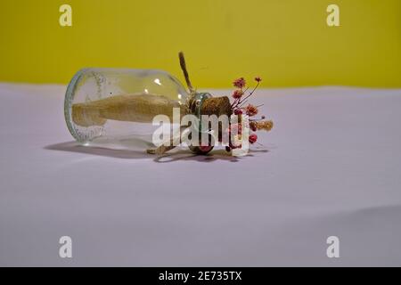 Un morceau de papier peint à l'intérieur de la gousse de verre et de la prise de bois sur fond blanc et jaune. Correspondance de style ancien et ancien. Banque D'Images