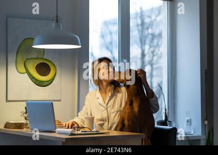 Femme en vêtement de nuit embrassant le chien bien-aimé Wirehacheveux Vizsla, assis sur une chaise dans la salle de cuisine Banque D'Images