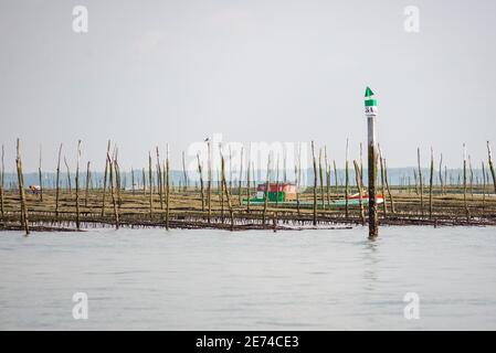 Une barge colorée est située sur une rive de sable parmi des pièges à huîtres dans le bassin d'Arcachon, Gironde, France Banque D'Images