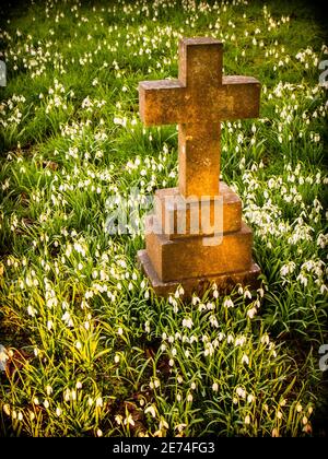 Une pierre tombale entourée de gouttes de neige dans la chaude lumière de printemps. Banque D'Images