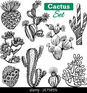 Différents types décoratifs d'icônes de cactus ensemble avec des épines noires illustration vectorielle isolée d'esquisse blanche Illustration de Vecteur